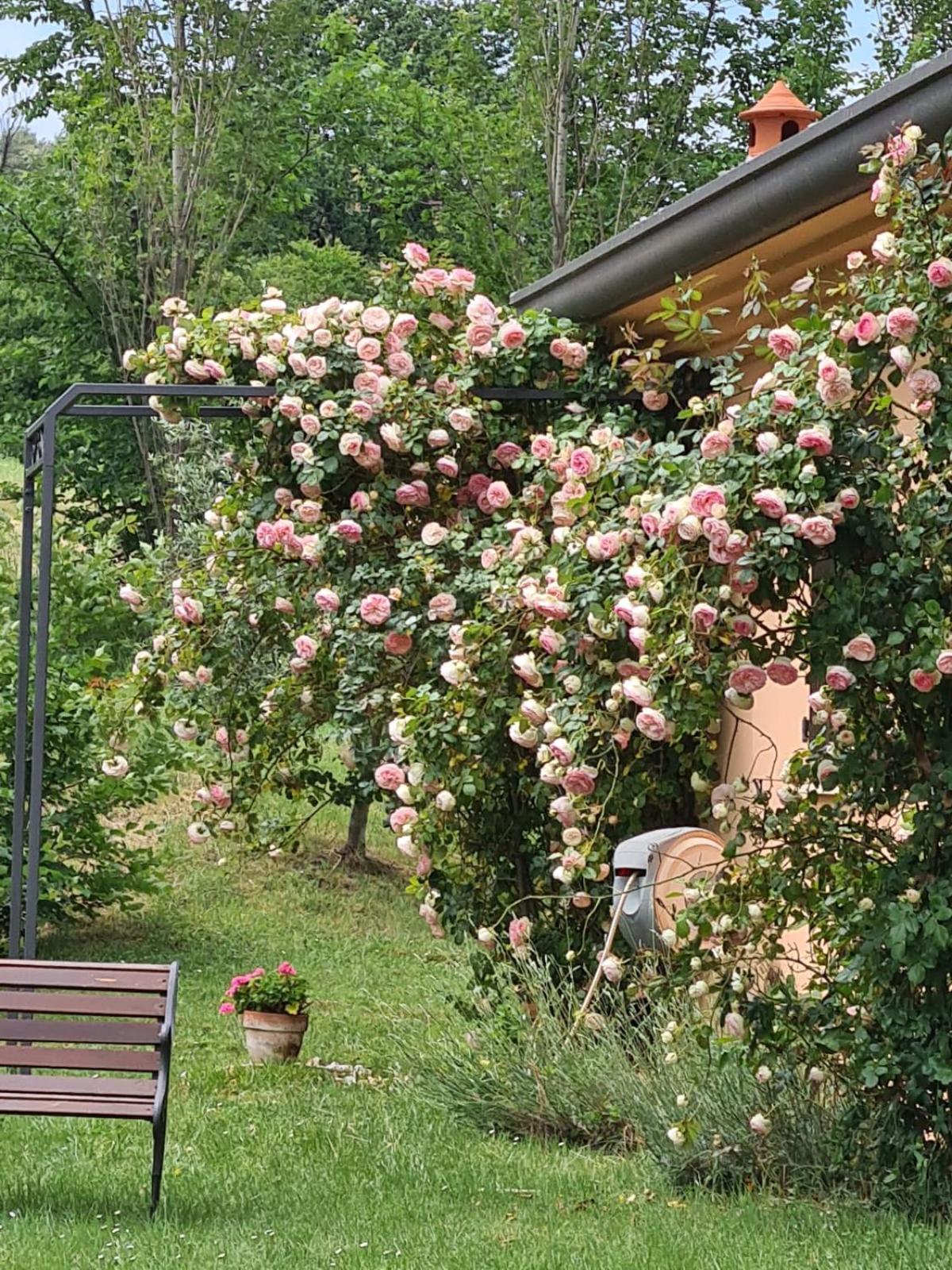 Mulazzano B&B Rosaverde المظهر الخارجي الصورة